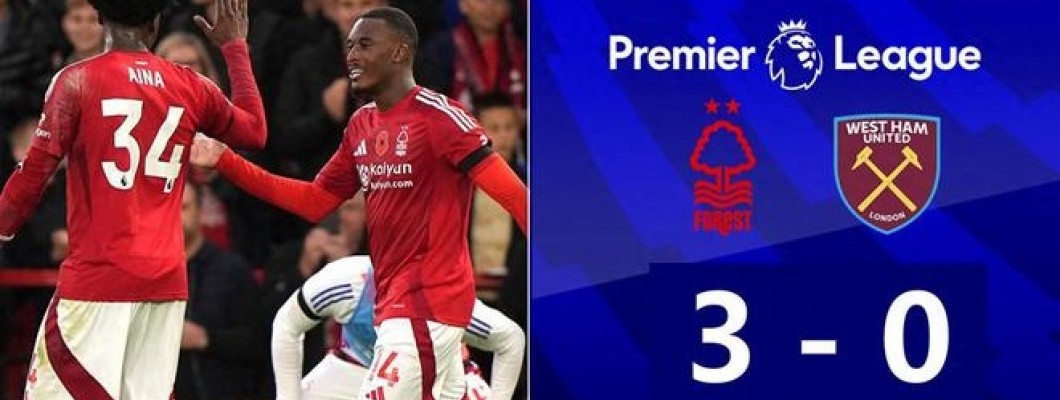 Gol Chrisa Wooda drugi je nakon Haalanda