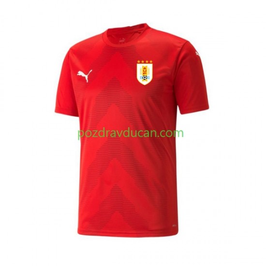 Nogometni Dresovi Urugvaj Vratar Muški Domaći dres World Cup 2022 Kratkih Rukava