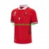 Rugby Dresovi Wales Muški Domaći dres RWC 2023 Kratkih Rukava