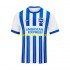 Nogometni Dresovi Brighton & Hove Albion Muški Domaći dres 2024-2025 Kratkih Rukava