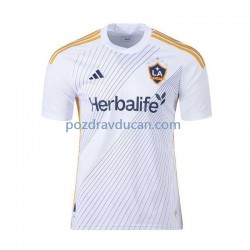 Nogometni Dresovi Los Angeles Galaxy Muški Domaći dres 2024 Kratkih Rukava