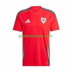 Nogometni Dresovi Wales Muški Domaći dres 2024 Kratkih Rukava