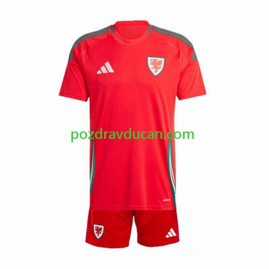 Nogometni Dresovi Wales Dječji Domaći dres 2024 Kratkih Rukava