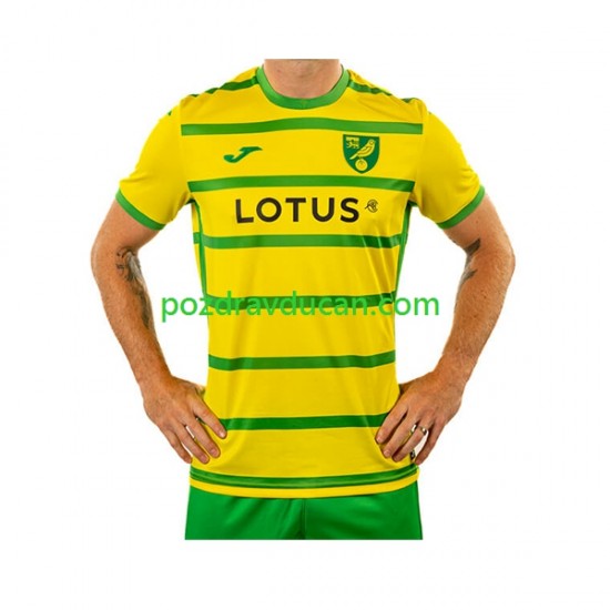 Nogometni Dresovi Norwich City Muški Domaći dres 2023-2024 Kratkih Rukava