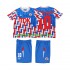 Nogometni Dresovi AFC Ajax BERGKAMP 10 1989 1990 Retro Dječji Gostujući dres Dugi Rukav