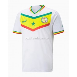 Nogometni Dresovi Senegal Domaći dres World Cup 2022 Kratkih Rukava