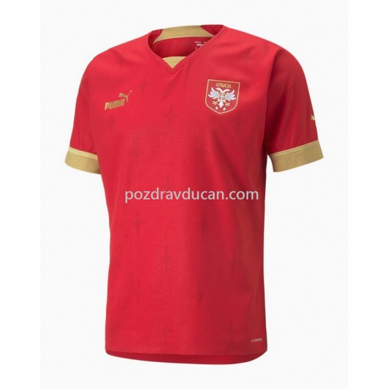 Nogometni Dresovi Srbija Domaći dres World Cup 2022 Kratkih Rukava