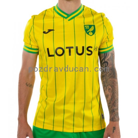 Nogometni Dresovi Norwich City Muški Domaći dres 2022-2023 Kratkih Rukava