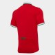 Nogometni Dresovi Wales Rugby Classic Domaći dres 2020-2021 Kratkih Rukava